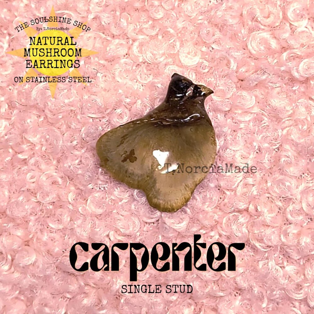 Carpenter Natural Mushroom Single Stud Earring